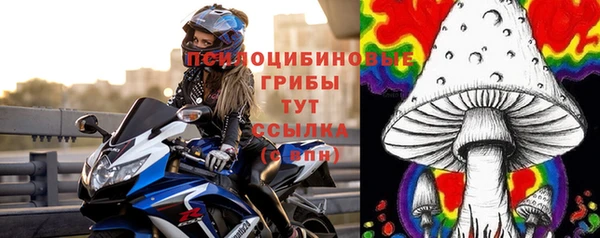 дживик Покров