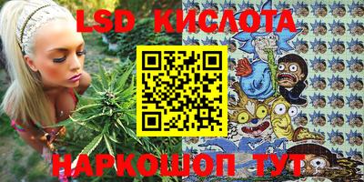 дживик Можга
