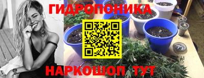 ГАЛЛЮЦИНОГЕННЫЕ ГРИБЫ Моздок