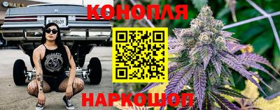 дживик Можга